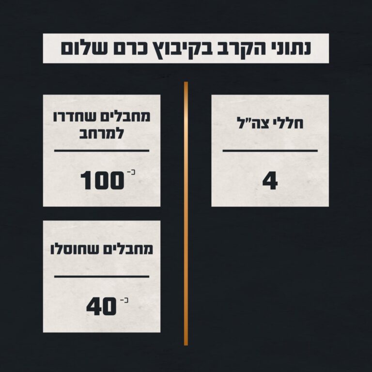 נתוני הקרב (מקור: דובר צה"ל)