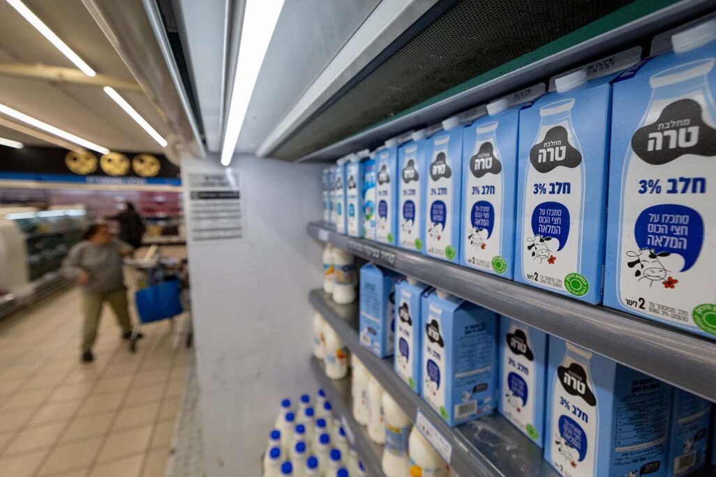 חלב טרה בסופר (צילום: יונתן זינדל/פלאש90) חלב טרה בסופר (צילום: יונתן זינדל/פלאש90)