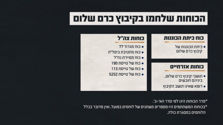 הכוחות שלחמו (מקור: דובר צה"ל)
