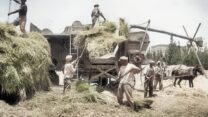 דיש בנהלל, שנות העשרים (צילום: מאוסף שמואל דיין. נדב מן, ביתמונה. מקור האוסף: זהר בצר. האוסף הלאומי לתצלומים על שם משפחת פריצקר, הספרייה הלאומית, עיבוד תמונה: דבר)