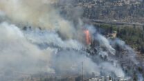 שריפה באזור עין כרם בירושלים (צילום: כבאות והצלה)