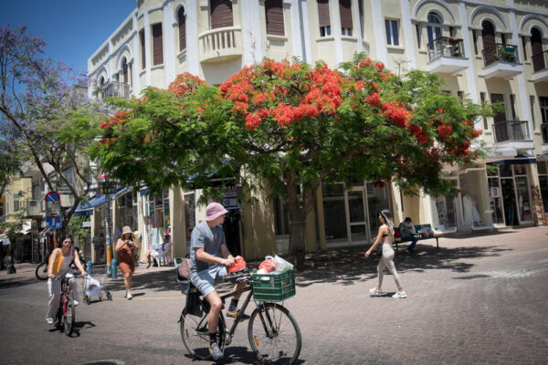 יום בהיר ברחוב נחלת בנימין בתל אביב (צילום: מרים אלסטר/פלאש90)