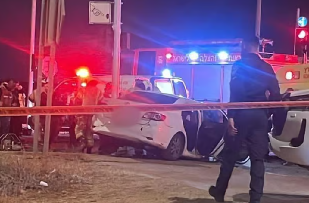 תיעוד מזירת התאונה הקטלנית בנגב (צילום: תיעוד מבצעי מד"א)