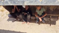 ילדים תופסים מחסה ב"מיגונית" מאולתרת בתל ערד בנגב, 16 ביוני 2025 (צילום: סולימאן אבו ג'ודה)