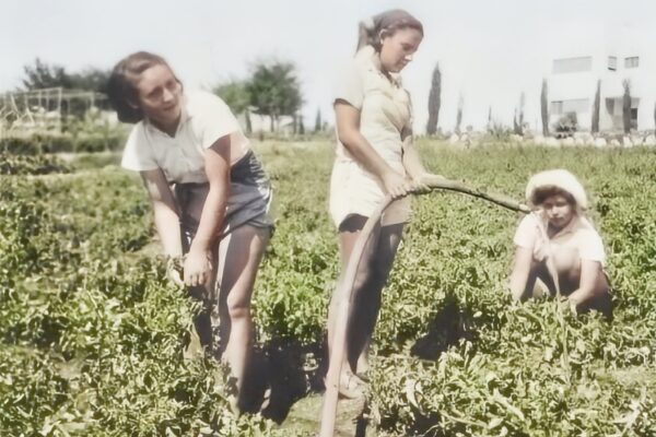פועלות במשתלת משק הפועלות,חוות הלימוד, שכונת תלפיות, ירושלים (צילום: יד יצחק בן צבי (ישראל נגלית לעין), אוסף חוות הלימוד ו'משק הפועלות' של רחל ינאית בירושלים. 
רשומה זו היא חלק מפרויקט רשת ארכיוני ישראל (רא"י) וזמינה במסגרת שיתוף פעולה בין יד יצחק בן צבי, משרד ירושלים ומורשת והספרייה הלאומית של ישראל, עיבוד תמונה: דבר)