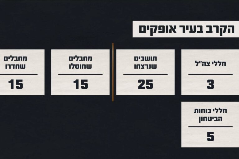 (מקור: דובר צה"ל)