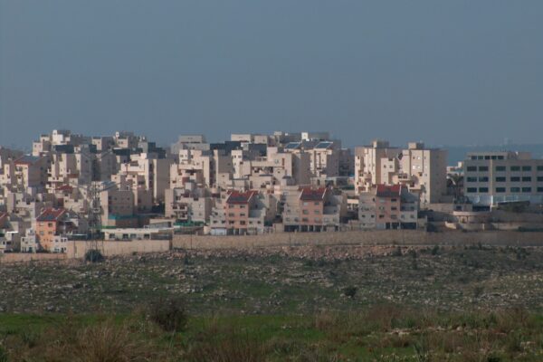 העיר החרדית אלעד (צילום ארכיון: מיכאלי, ויקימדיה)