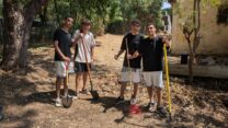 אוהד אפוטה (מימין), אוראל מדק, זיו טייב ואיתי לוקצקי מנכשים וגורפים עשבים (צילום: ניצן צבי כהן)