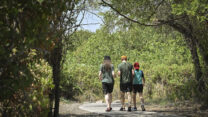 מטיילים בשמורת מג'רסה (צילום: מיכאל גלעדי/פלאש90)