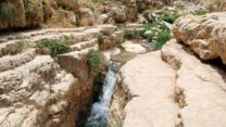 נחל פרט (ואדי קלט) (צילום: אריה טננבאום, מתוך אתר פיקיויקי)