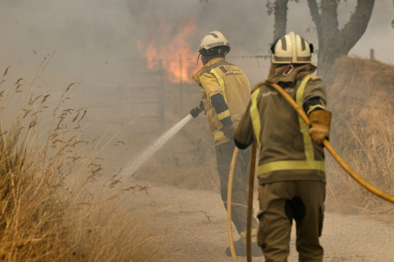 כוחות כיבוי בשריפות יער בצפון מערב ספרד, 13 באוגוסט 2025 (צילום: (AP Photo/Lalo R. Villar)
