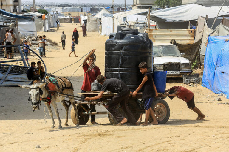 עזתים במחנה אוהלים באל מוואסי שבדרום רצועת עזה, 9 באוגוסט 2025 (צילום: עבד רחים ח'טיב/פלאש90)