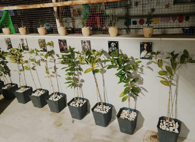 פינת הזיכרון לחללים הדרוזים בבניין ההסתדרות החדש (צילום: מרחב מרכז גליל)