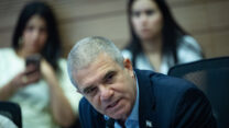 גל הירש בדיון הוועדה לביטחון לאומי בנושא חוק עונש מוות למחבלים ׁ(צילום: חיים גולדברג/ פלאש 90)