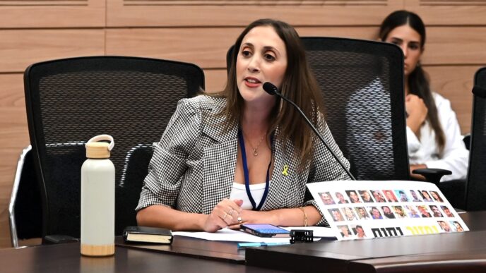 אלה מדינה בוועדת חוץ וביטחון (צילום: אור גואטה)