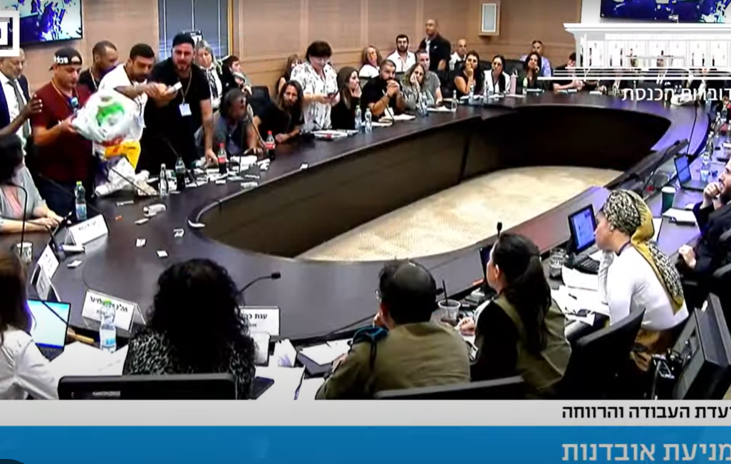 הלומי קרב משליכים תרופות בוועדת העבודה והרווחה של הכנסת בדיון על מניעת אובדנות (צילום מסך ערוץ הכנסת) הלומי קרב משליכים תרופות בוועדת העבודה והרווחה של הכנסת בדיון על מניעת אובדנות (צילום מסך ערוץ הכנסת)
