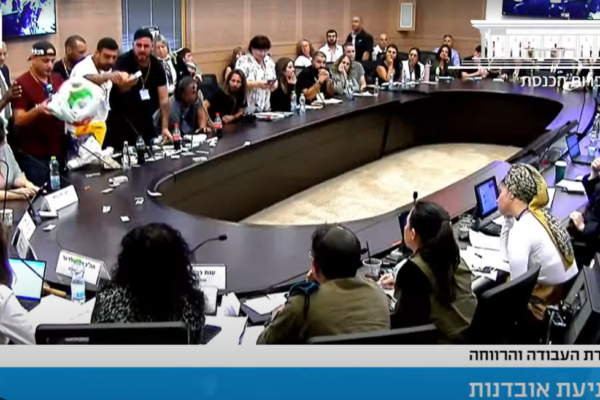 הלומי קרב משליכים תרופות בוועדת העבודה והרווחה של הכנסת בדיון על מניעת אובדנות (צילום מסך ערוץ הכנסת)