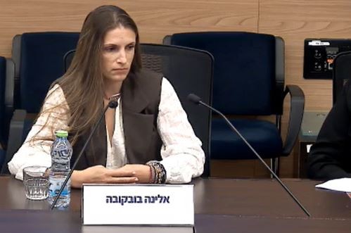 אלינה בובקובה בכנסת (צילום מסך: שידורי ועדות הכנסת) אלינה בובקובה בכנסת (צילום מסך: שידורי ועדות הכנסת)