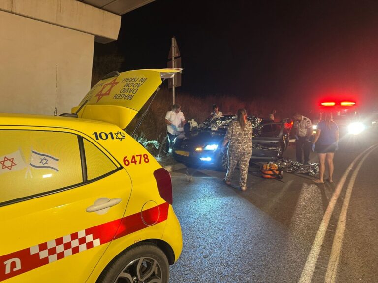זירת הרצח ליד קיבוץ נחשולים (צילום: תיעוד מבצעי מד"א)