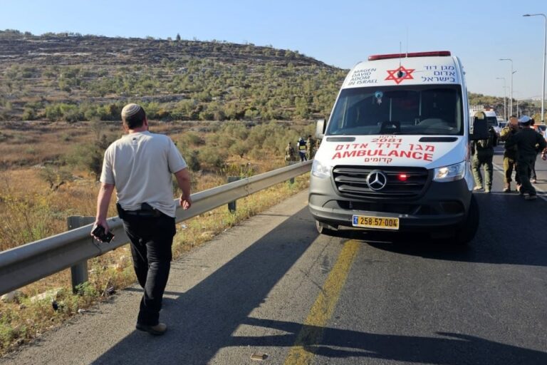 זירת הפיגוע סמוך לקדומים (צילום: תיעוד מבצעי מד"א)