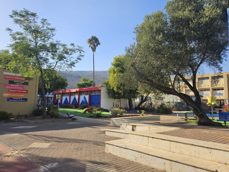 בית הספר המגינים. "נראה לי שהכיתה שלנו הכי בלגניסטית בבית הספר" (צילום: מאיה רונן)