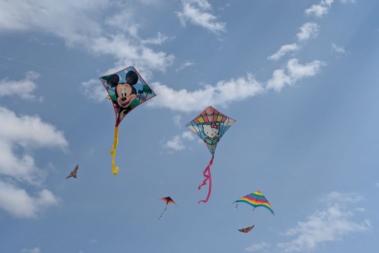 העפיפוניאדה של כפר עזה בתל אביב (צילום: ניצן צבי כהן) העפיפוניאדה של כפר עזה בתל אביב (צילום: ניצן צבי כהן)
