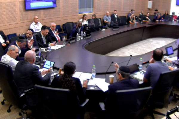 ההצבעה בוועדת הכספים על החרגת הכנסות ממחזור הכספים של עוסק זעיר (צילום מסך: דוברות הכנסת)