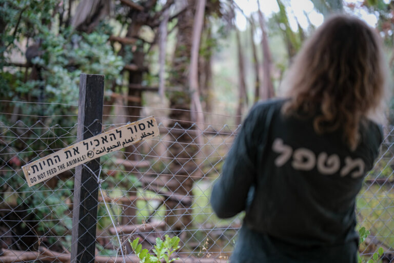 "אסור להאכיל את החיות" (צילום: דוד טברסקי)