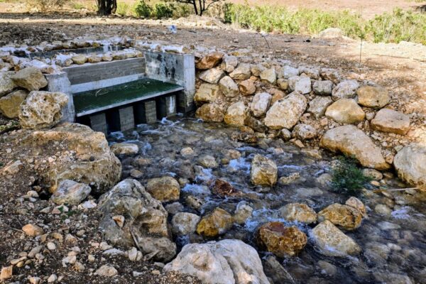 הזרמת המים מהמערכת הארצית למעיינות הגליל המזרחי (צילום: גדי אפריאט, טופליין תקשורת)