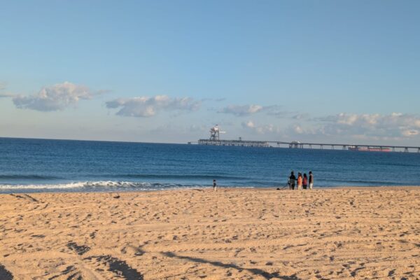 רוחצים ביום הפתיחה המחודשת של חוף זיקים (צילום: ניצן צבי כהן)