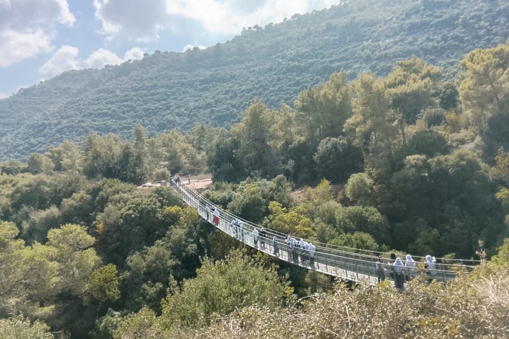 מטיילים בגשרים התלויים בפארק נשר ושמיים מעוננים חלקית (צילום: דבר) מטיילים בגשרים התלויים בפארק נשר ושמיים מעוננים חלקית (צילום: דבר)