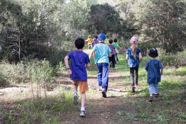 ילדים בפעילות ביער בן שמן (צילום: טל סיון-ציפורין)
