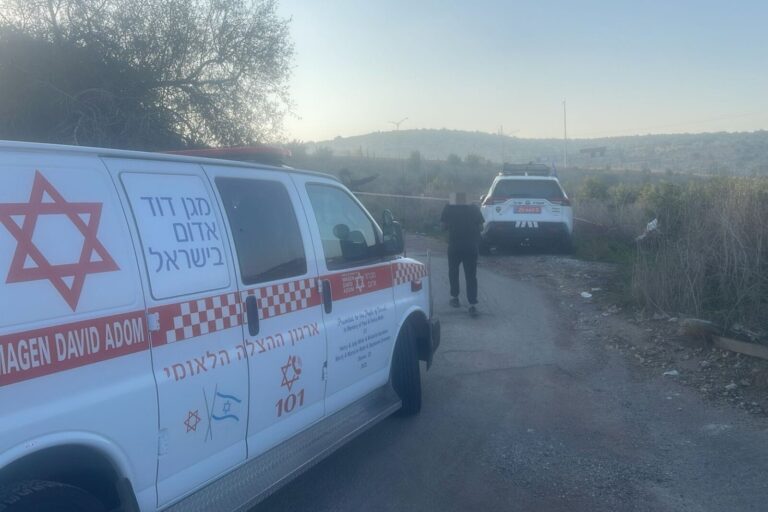 זירת הרצח סמוך לאבטין (צילום: מד"א)