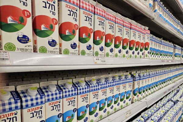 מדף חלב בסופר (צילום: מאיה רונן)