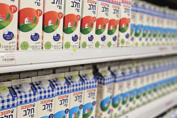חלב על המדף בסופרמרקט (צילום: מאיה רונן)
