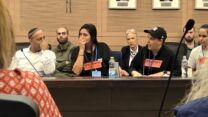 הלומות קרב בדיון בוועדת חוץ וביטחון של הכנסת (צילום: אור גואטה)