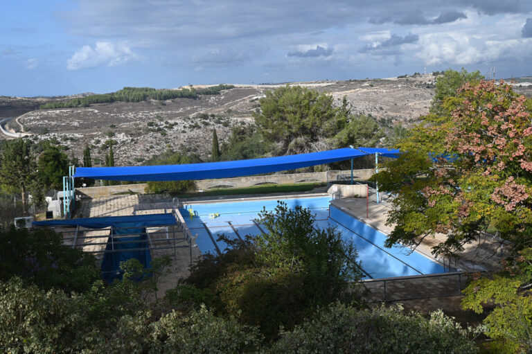 הבריכה באדמית (צילום: דוד טברסקי)