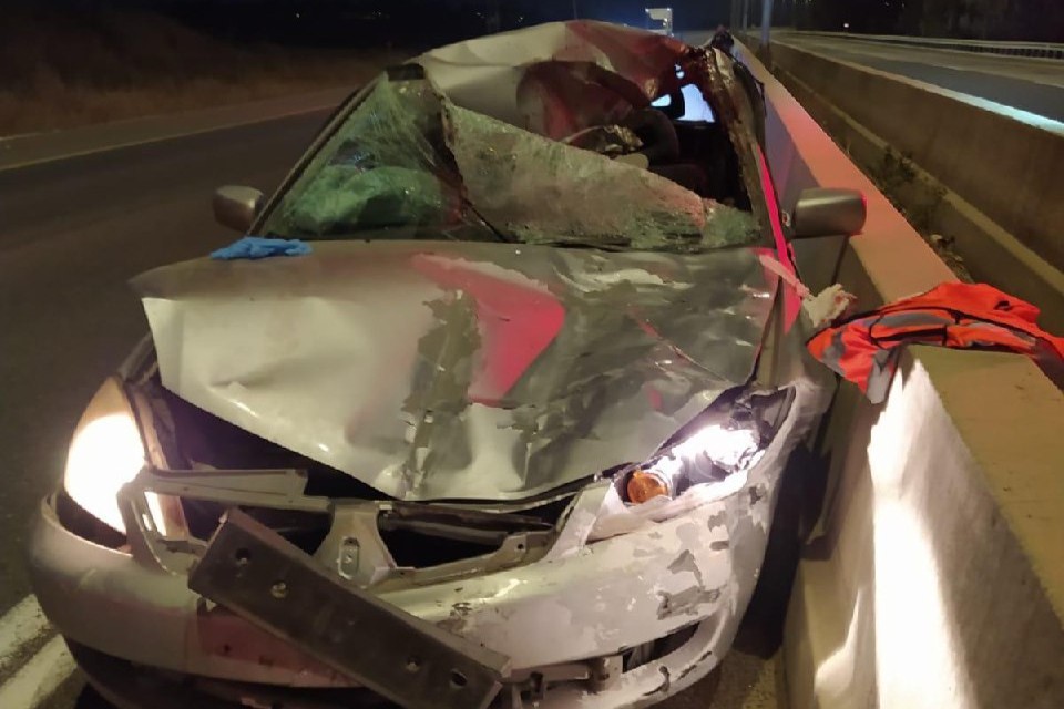 הרכב שהתנגב בסוס על כביש 3 באזור גדרה (צילום: תיעוד מבצעי מד"א) הרכב שהתנגב בסוס על כביש 3 באזור גדרה (צילום: תיעוד מבצעי מד"א)
