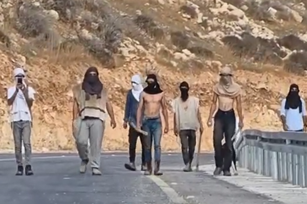 רעולי פנים ביהודה ושומרון (צילום: מתוך רשתות חברתיות, שימוש לפי סעיף 27א לחוק זכויות יוצרים)