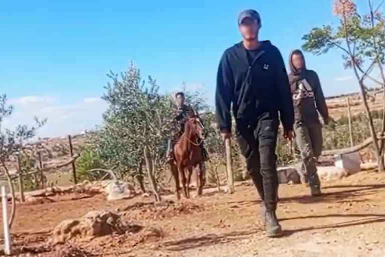 נערים שהגיעו לגרש משפחה משטח באזור יטא השבוע (צילום: מתוך רשתות חברתיות, שימוש לפי סעיף 27א לחוק זכויות יוצרים)