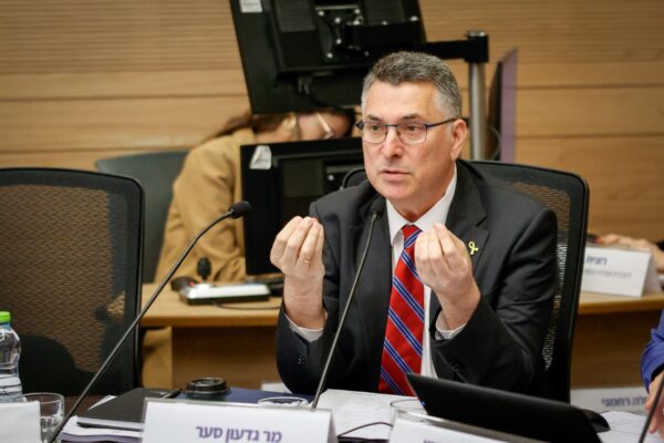 גדעון סער בוועדת החוקה (צילום: נועם מושקוביץ, דוברות הכנסת)