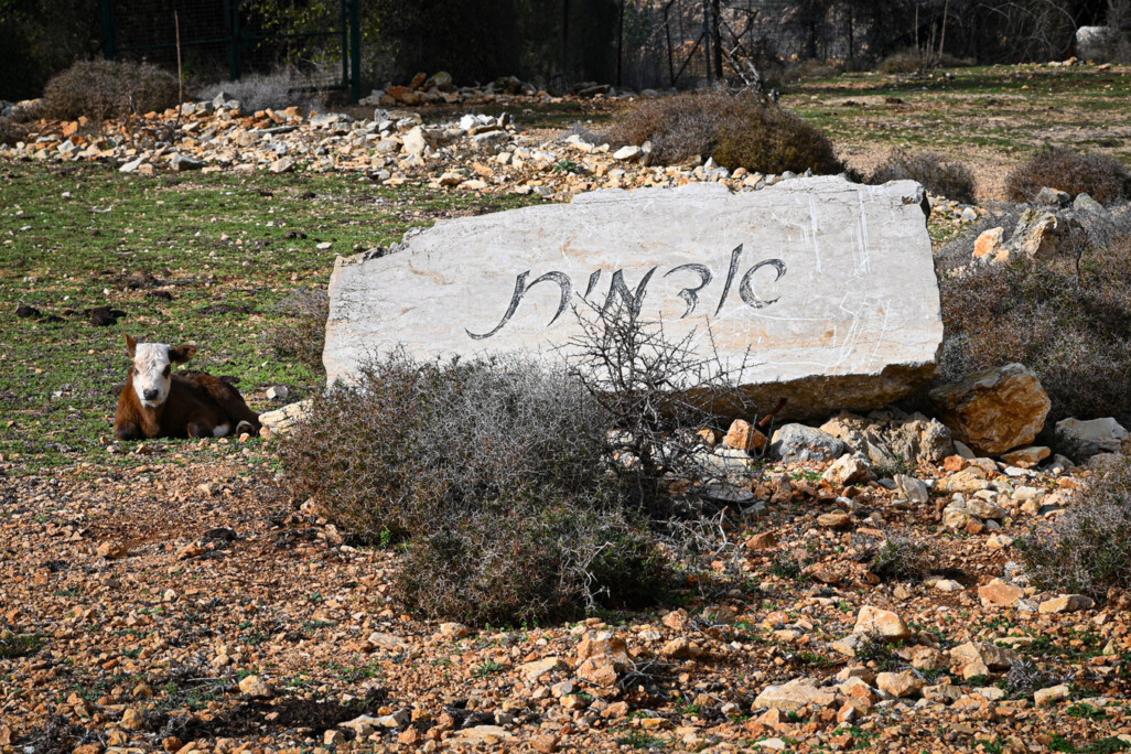 שלט כניסה לקיבוץ אדמית (צילום: דוד טברסקי)