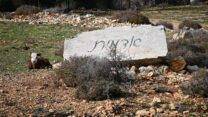 שלט כניסה לקיבוץ אדמית (צילום: דוד טברסקי)