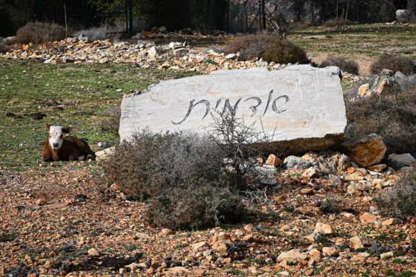 שלט כניסה לקיבוץ אדמית (צילום: דוד טברסקי)