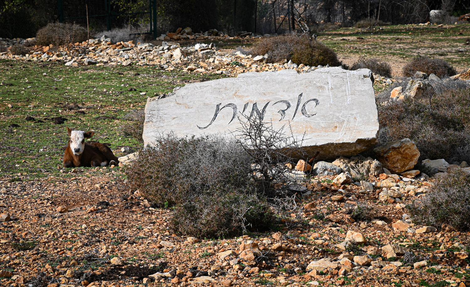שלט כניסה לקיבוץ אדמית (צילום: דוד טברסקי)
