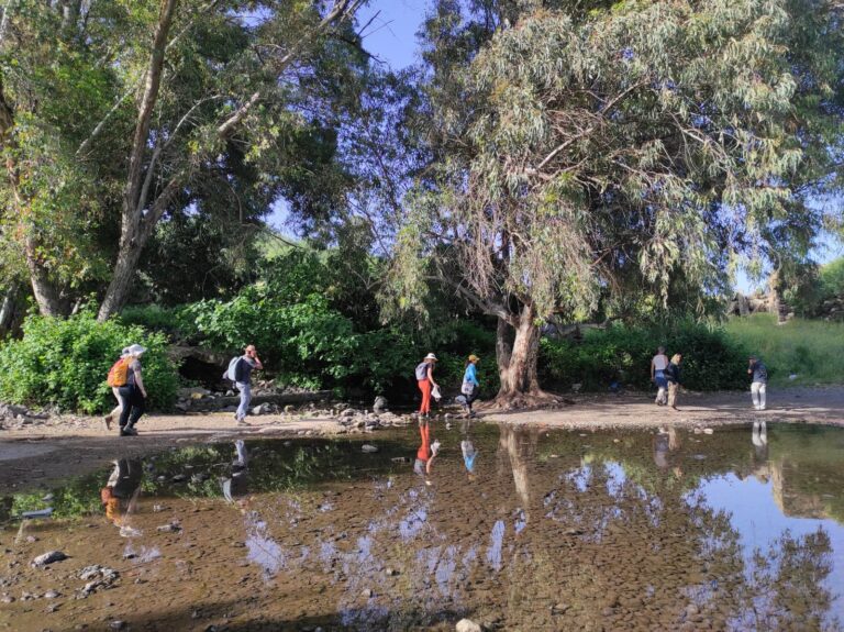 מטיילים בעין פית (צילום: יניב סגל)