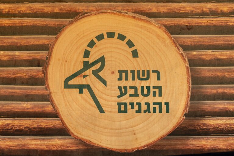 רשות הטבע והגנים בחוף הבונים (צילום אילוסטרציה: shutterstock)