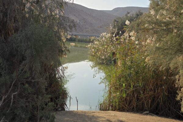 סיור 'ירוחם בין מדבר לאגם' (צילום: מכון אבשלום)