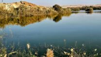 סיור 'ירוחם בין מדבר לאגם' (צילום: מכון אבשלום)