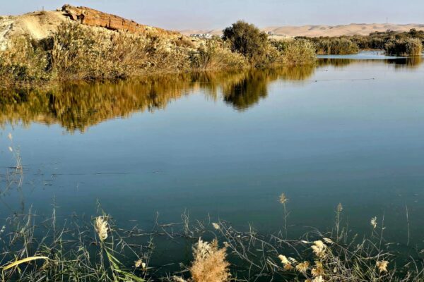 סיור 'ירוחם בין מדבר לאגם' (צילום: מכון אבשלום)